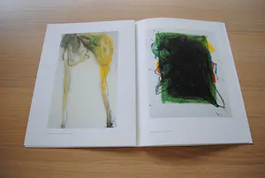 Lei Molin - Bijzondere uitgave met litho kopen? Bied vanaf 35!