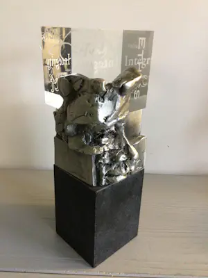 Ad Haring - Sculptuur / Afstudeer plaat Erasmus Universiteit .. kopen? Bied vanaf 90!