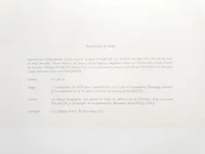 Rene Magritte - La magie noire kopen? Bied vanaf 440!