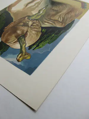 Salvador Dali - De logische duivel (Canto 27) - Houtgravue 1960 kopen? Bied vanaf 178!