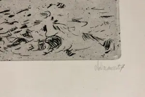 Adri Dijkhorst - Noord Spaanse kust kopen? Bied vanaf 50!