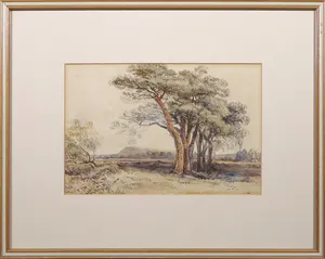 Niet of onleesbaar gesigneerd - Aquarel, Boomlandschap - Ingelijst kopen? Bied vanaf 1!