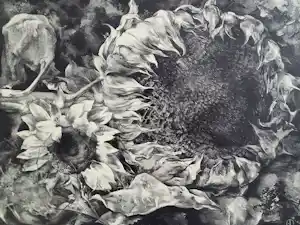 Aart van Dobbenburgh - "Zonnebloemen". kopen? Bied vanaf 75!