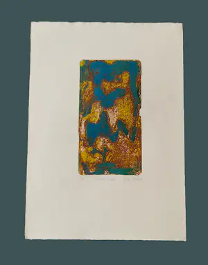 Gertie Mesker - 1971 handgekleurde reliëfdruk "terre Chaude" potloodgesigneerd bep. oplage (50) kopen? Bied vanaf 38!