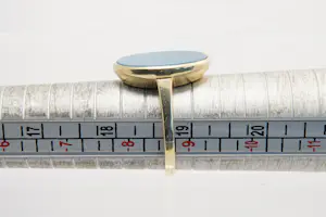 62 - 14 karaats geelgouden zegel ring gezet met ovalen blauwe steen kopen? Bied vanaf 265!