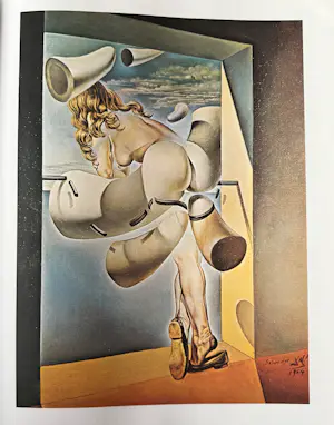 Salvador Dali - Twee boeken over Salvador Dali. Één boek is in originele verpakking. kopen? Bied vanaf 25!