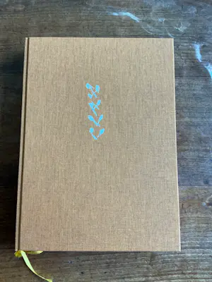 Jasper Krabbé - Zeefdruk en boek in cassette kopen? Bied vanaf 325!