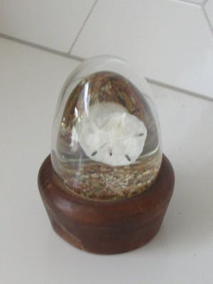 Niet of onleesbaar gesigneerd - Zoologisch object op sterk water als presse papier - Rodelco Gems - Vinkeveen kopen? Bied vanaf 1!