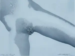Paul Blanca - uit de serie: Kristal. kopen? Bied vanaf 195!