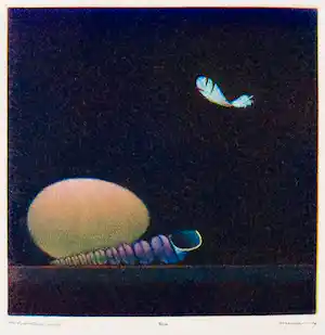 Joop Vegter - Mezzotint, Neerdwarrelend veertje verkocht voor € 110!
