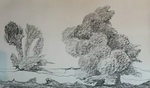 Max Ernst - Map met 34 werken: Histoire Naturelle - 1972 kopen? Bied vanaf 499!