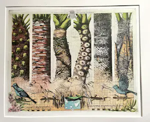 Rolf Weijburg - Flora y Fauna de las islas Canarias Occidentales kopen? Bied vanaf 85!