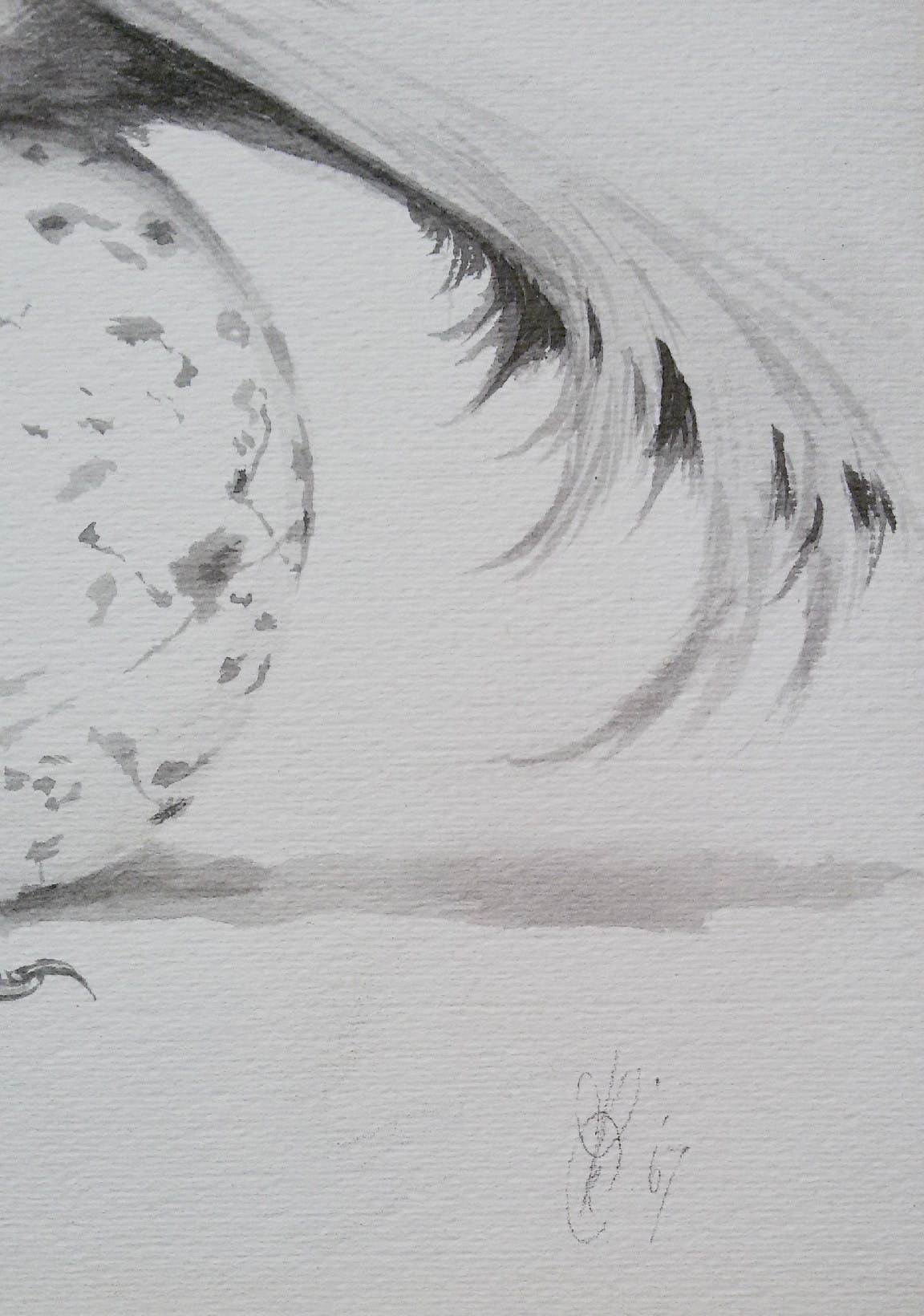 Peter Vos - Struisvogeltjeachtige, tekening kopen? Bied vanaf 325!