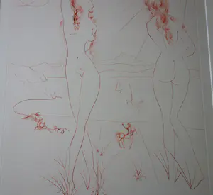 Salvador Dali - Espejo Vivo kopen? Bied vanaf 1600!