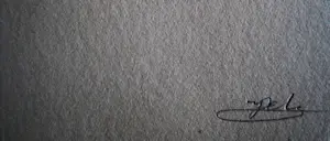 Niet of onleesbaar gesigneerd - Mooie minimalistische ETS "Dijk met schapen" kleine oplage (10) - gesigneerd kopen? Bied vanaf 1!