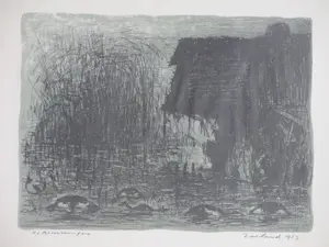 Harry van Kruiningen - Zeeland 1953 - Litho kopen? Bied vanaf 75!