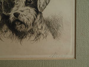 Niet of onleesbaar gesigneerd - Ingelijste ets , 2 Honden , 2 portretten - oud kopen? Bied vanaf 1!