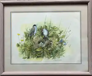 Marjolein Bastin - Zwartkoppen kopen? Bied vanaf 90!