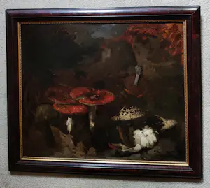 Theo Goedvriend - Paddenstoelen kopen? Bied vanaf 270!