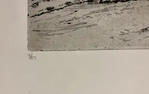 Adri Dijkhorst - Noord Spaanse kust kopen? Bied vanaf 50!