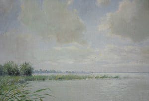 Willem van der Ven - Plas in polderlandschap met waterlelies kopen? Bied vanaf 140!