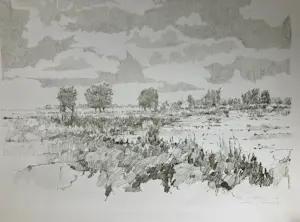 Ton Albers - Landschap bij Ouderkerk kopen? Bied vanaf 35!