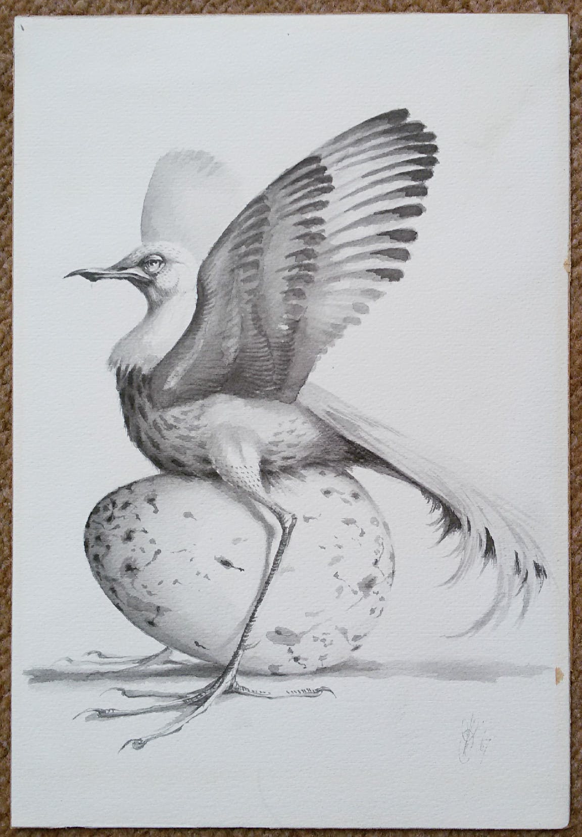 Peter Vos - Struisvogeltjeachtige, tekening kopen? Bied vanaf 325!