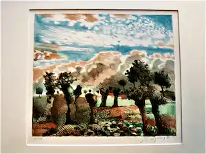 Nicolaas Wijnberg - met stift ingekleurde litho - 'Landschap in expressionistische kleuren' - 1985 verkocht voor € 39!