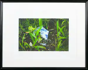 Fiona Tan - Foto, Aftermath - Ingelijst verkocht voor € 200!