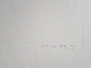 Cees Kortlang - Grote, in diverse grijstinten handgekl. reliëf Ets/aquatint - zeer kleine oplage kopen? Bied vanaf 38!