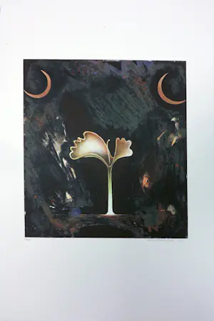 Jurjen Ravenhorst - & Mivrolav Potvic - Litho, Lot van 9 surrealistische voorstellingen kopen? Bied vanaf 100!