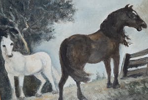 Anne Hoff - Twee paarden kopen? Bied vanaf 39!