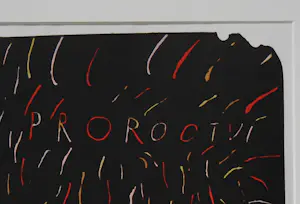 Jiri Salamoun - Proroctvi (Profetie) kopen? Bied vanaf 100!