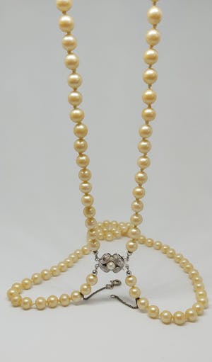 Zoetwaterparel Collier 45cm Zilveren Slotje 835 kopen? Bied vanaf 75!