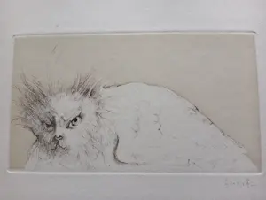 Leonor Fini - Leonor Fini Ets Le Borakoma Surrealisme 1975 kopen? Bied vanaf 75!