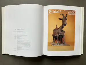 Pablo Picasso - Catalogue Raisonné - Picasso in his posters - 4 delen kopen? Bied vanaf 250!