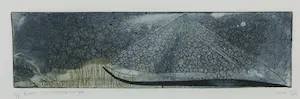 Sophie Noordam - Ets / aquatint, Boven en onder water - Ingelijst kopen? Bied vanaf 35!