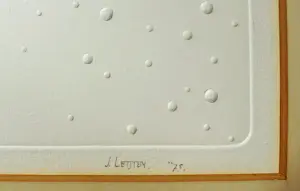 Joop Leijten - Verzamel 11 kopen? Bied vanaf 40!