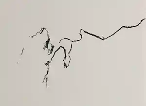 Armando - gesigneerde litho kopen? Bied vanaf 149!
