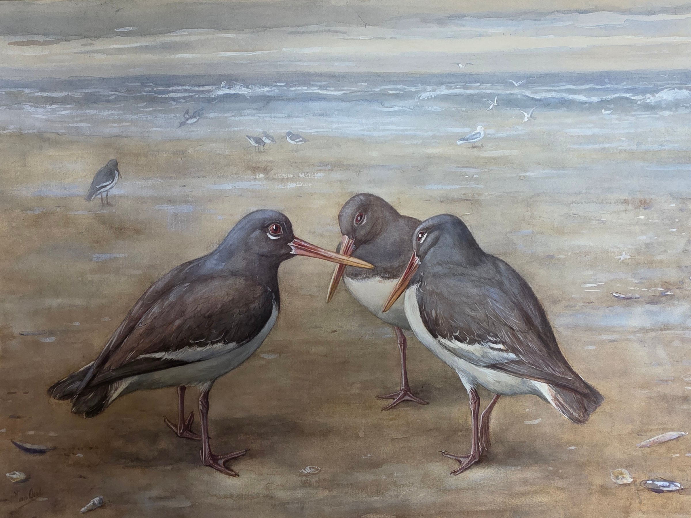 Jan van Oort - Drie scholeksters op het strand kopen? Bied vanaf 750!