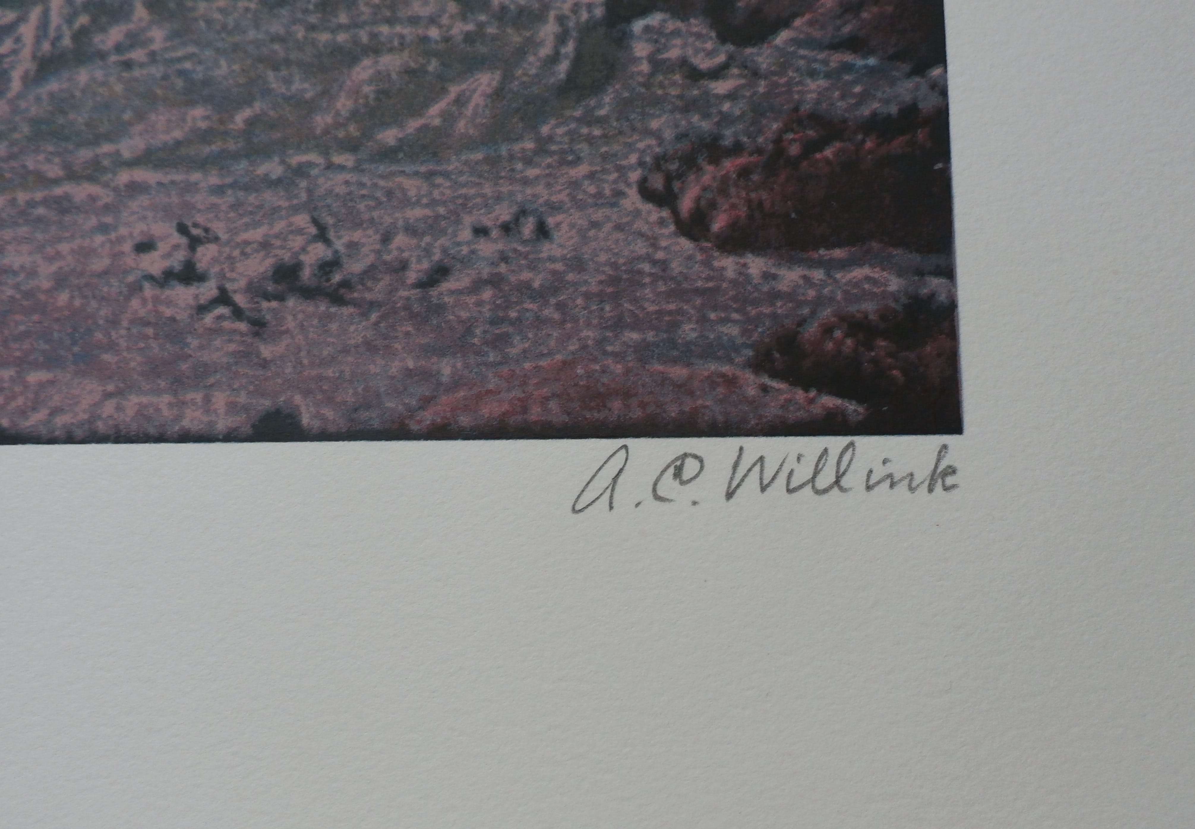 Carel Willink - litho: naar de toekomst -1979 kopen? Bied vanaf 850!