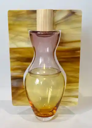 Carina Riezebos - A Touch of Eve verkocht voor € 190!