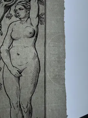 Albrecht Durer - Konvolut Bildnisse und Allegorien 2 Blätter mit 8 Motiven kopen? Bied vanaf 70!