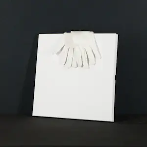 Norbert Bisky - Gesigneerde record “Henrik Schwarz - Masse Remixes III " in plexi showcase kopen? Bied vanaf 890!