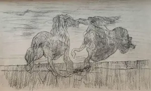 Max Ernst - Map met 34 werken: Histoire Naturelle - 1972 kopen? Bied vanaf 499!