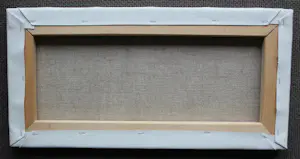 Dadara - Acryl op doek: Frog kopen? Bied vanaf 1299!