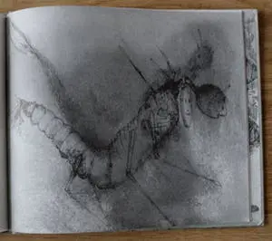 Dirkje Kuik - aquarel/tekening Aram en de bende van de boomstam" + boek waarin tekening staat kopen? Bied vanaf 159!