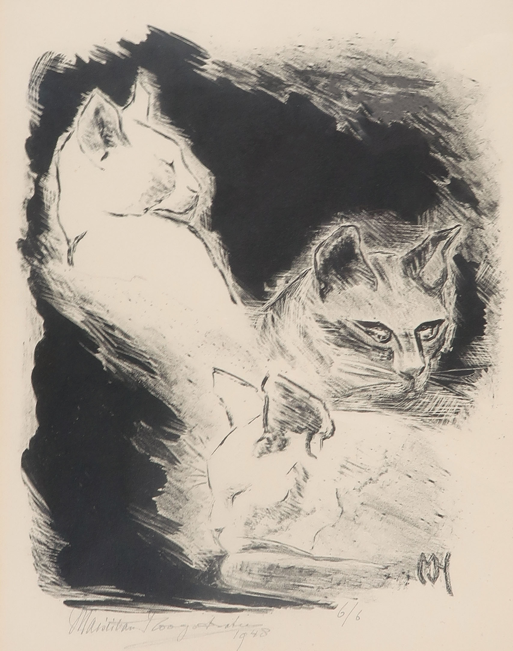 Maria van Hoogstraten - Litho, Drie poezen - Ingelijst kopen? Bied vanaf 35!