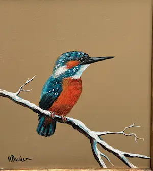 Henk Poeder - ijsvogel kopen? Bied vanaf 89!