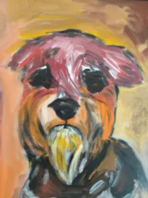 Tineke Martens - Schnauzer kopen? Bied vanaf 100!